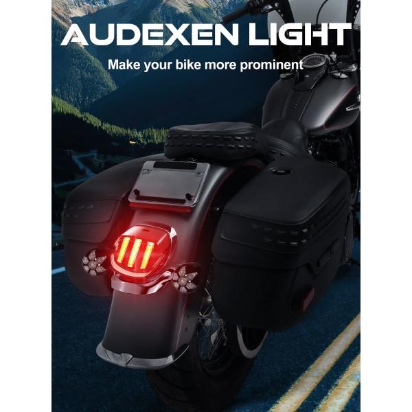 LED Brake Tail Light for Harley Dyna Sportster Touring Softail, Rear Taillight with Strobe Function, Plug & Play